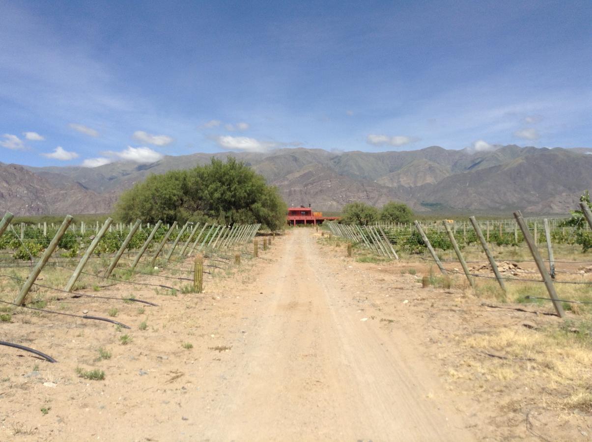 Finca Albarossa Guest House Fuerte Quemado Exterior photo